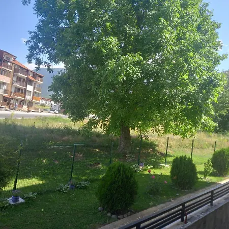 Seasons - Cozy Near Gondola & Mountain Views Appartement